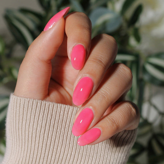 Glossed & Found