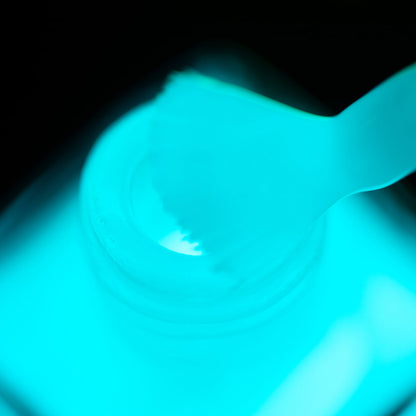 Aqua Glow In The Dark Taco