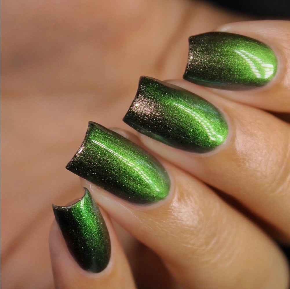 Chameleon Coat
